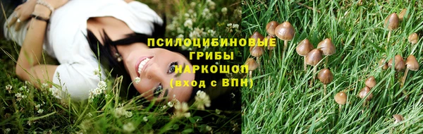 spice Бородино